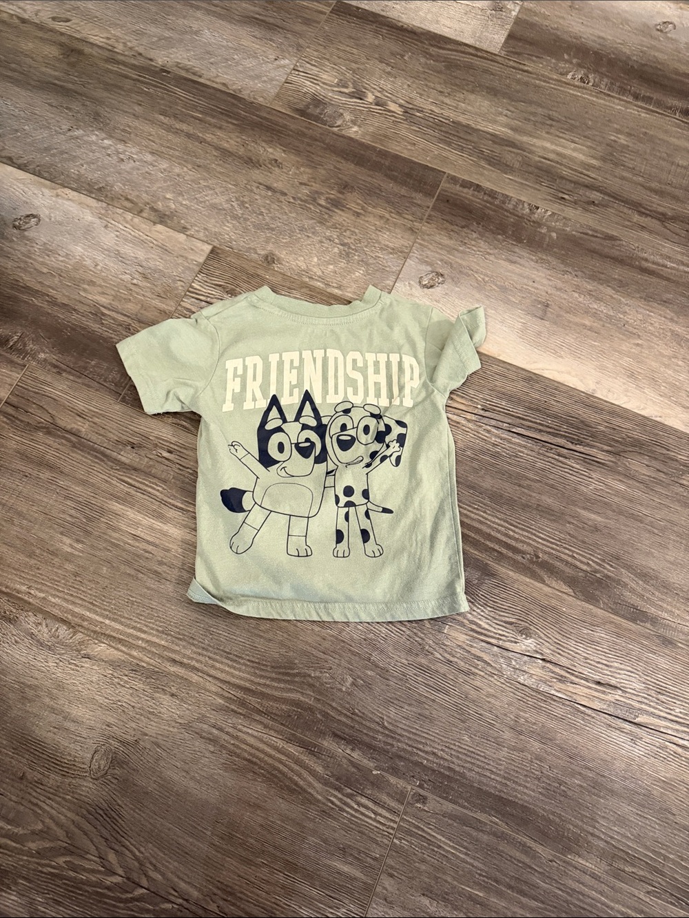 Baby Friendship Graphic Tee Boys Size 3T